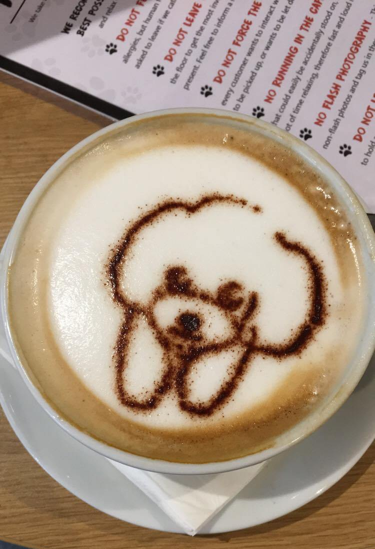 Things Helen Loves, Coffee decorated with dog image