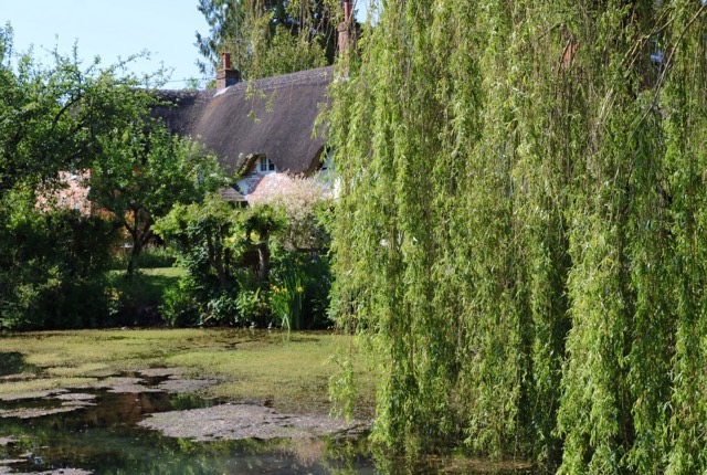 Things Helen Loves, image of duck pond and thatched cottage in the background